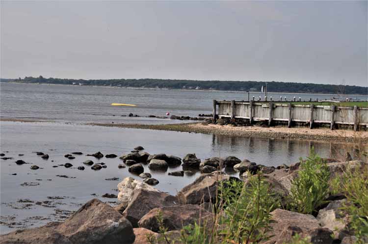 water scene